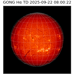 gong - 2025-09-22T08:00:22