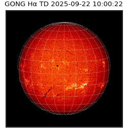 gong - 2025-09-22T10:00:22