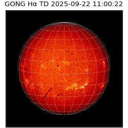gong - 2025-09-22T11:00:22