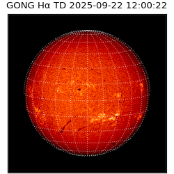 gong - 2025-09-22T12:00:22