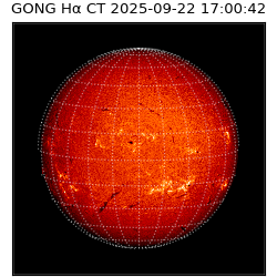 gong - 2025-09-22T17:00:42