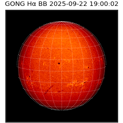 gong - 2025-09-22T19:00:02