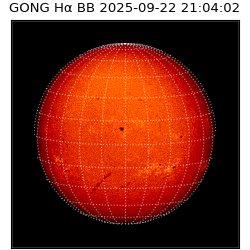 gong - 2025-09-22T21:04:02