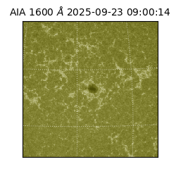 saia - 2025-09-23T09:00:14.126000