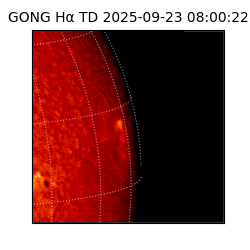 gong - 2025-09-23T08:00:22