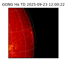 gong - 2025-09-23T12:00:22