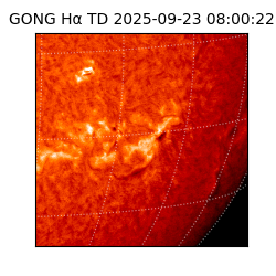 gong - 2025-09-23T08:00:22