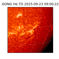 gong - 2025-09-23T09:00:22