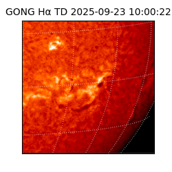 gong - 2025-09-23T10:00:22