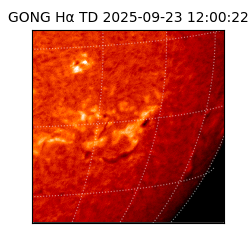 gong - 2025-09-23T12:00:22