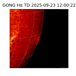 gong - 2025-09-23T12:00:22