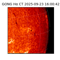 gong - 2025-09-23T16:00:42