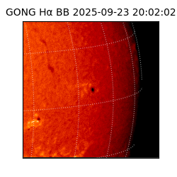 gong - 2025-09-23T20:02:02