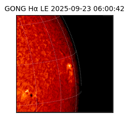 gong - 2025-09-23T06:00:42