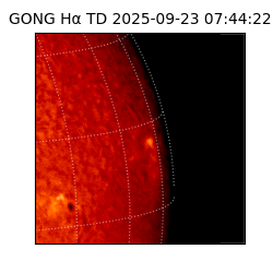 gong - 2025-09-23T07:44:22