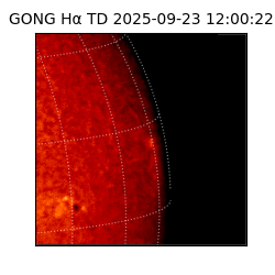 gong - 2025-09-23T12:00:22
