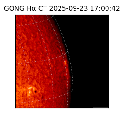 gong - 2025-09-23T17:00:42