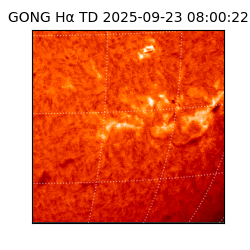 gong - 2025-09-23T08:00:22