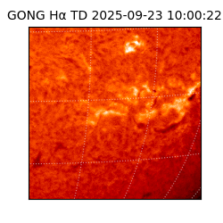 gong - 2025-09-23T10:00:22