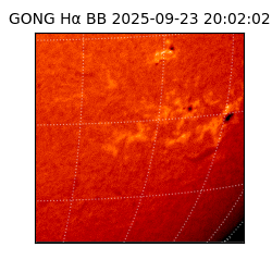gong - 2025-09-23T20:02:02