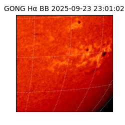 gong - 2025-09-23T23:01:02