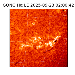 gong - 2025-09-23T02:00:42