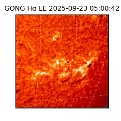 gong - 2025-09-23T05:00:42