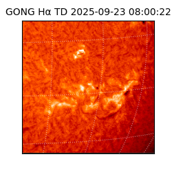 gong - 2025-09-23T08:00:22