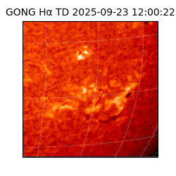 gong - 2025-09-23T12:00:22