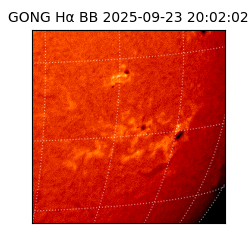 gong - 2025-09-23T20:02:02