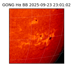 gong - 2025-09-23T23:01:02