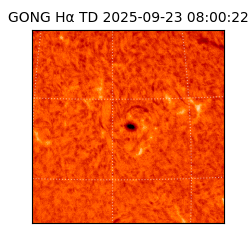 gong - 2025-09-23T08:00:22