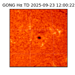 gong - 2025-09-23T12:00:22