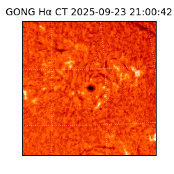 gong - 2025-09-23T21:00:42