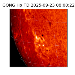 gong - 2025-09-23T08:00:22