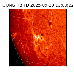 gong - 2025-09-23T11:00:22