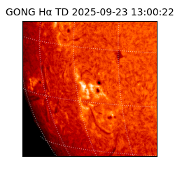 gong - 2025-09-23T13:00:22