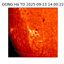 gong - 2025-09-23T14:00:22