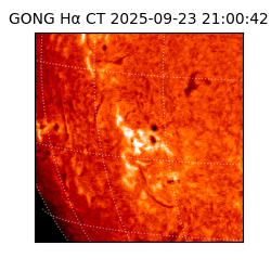 gong - 2025-09-23T21:00:42