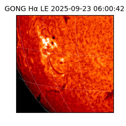 gong - 2025-09-23T06:00:42