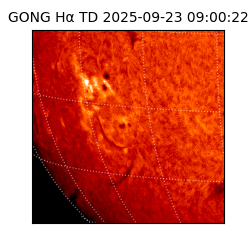 gong - 2025-09-23T09:00:22