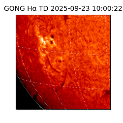 gong - 2025-09-23T10:00:22