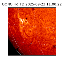 gong - 2025-09-23T11:00:22