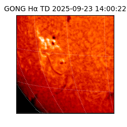 gong - 2025-09-23T14:00:22