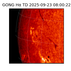 gong - 2025-09-23T08:00:22
