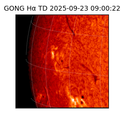 gong - 2025-09-23T09:00:22