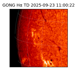 gong - 2025-09-23T11:00:22