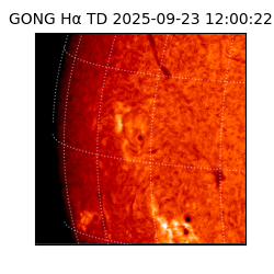 gong - 2025-09-23T12:00:22
