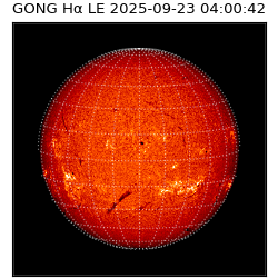 gong - 2025-09-23T04:00:42