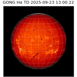 gong - 2025-09-23T13:00:22